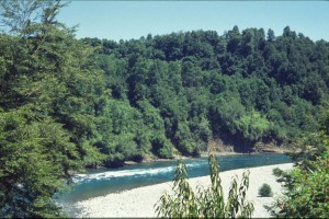 0295 SAN PEDRO - pod mostem Pte Malihue.jpg